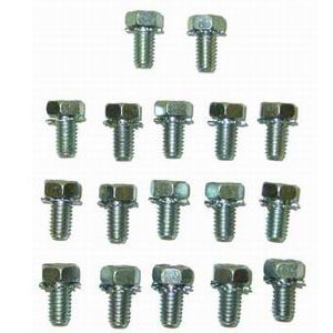 Racing Power Co-Packaged Transmission Pan Bolt Ki t (17) R0031