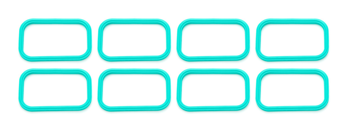 Chevrolet Performance Intake Mnifold Gasket Set 06-07 Z06 Corvette 89017852