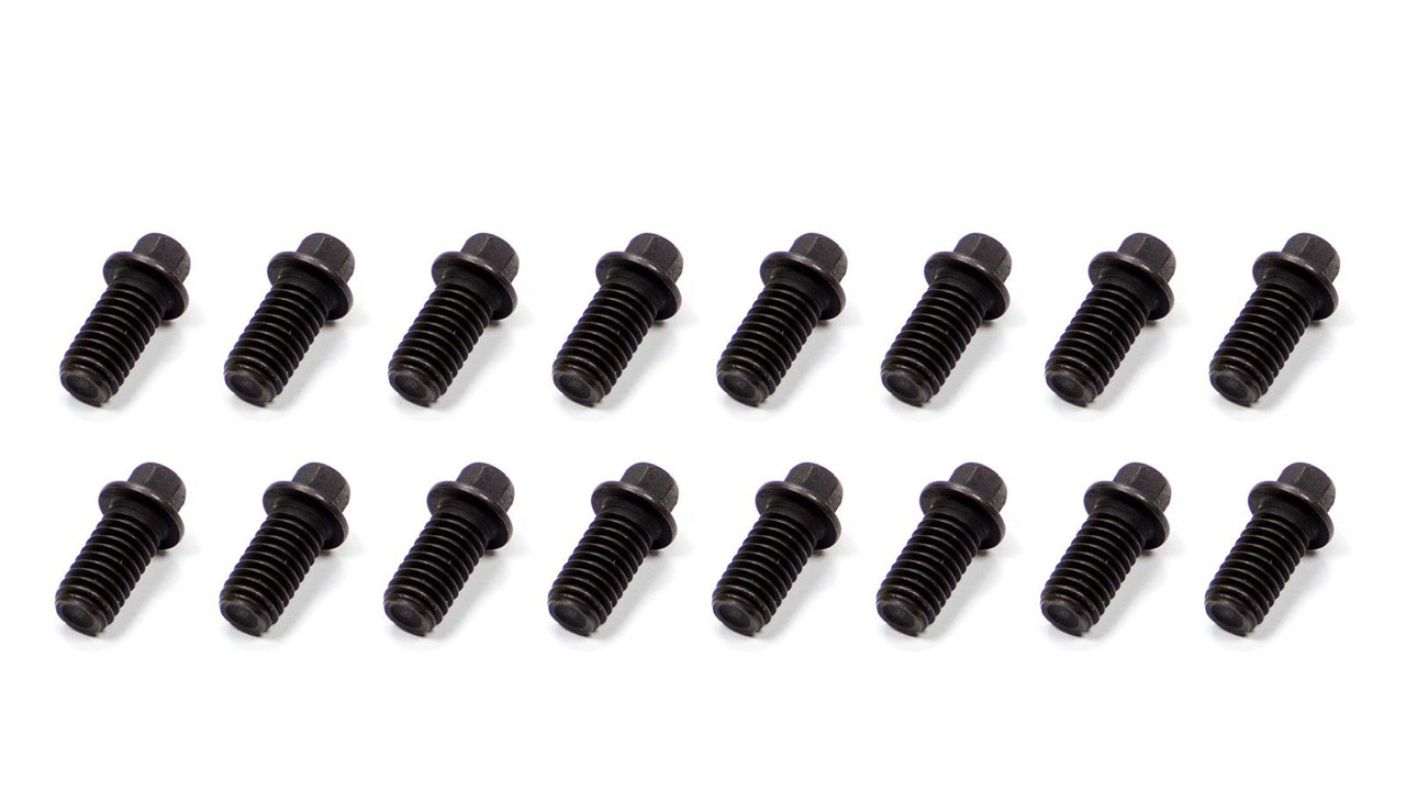 Schoenfeld Header Bolt 3/8-16x3/4in 5/16 Head 16pk 3006-16