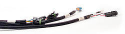 Fast Electronics Fuel Injection Harness - 18436572 Firing Order 301200