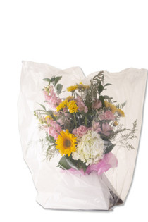 Clear Poly Arrangement Bag Clear Poly Arrangement Bag