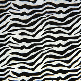 Zebra Print Gift Tissue