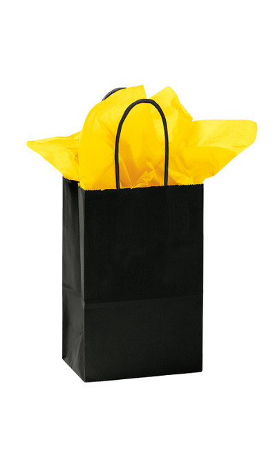 Small Glossy Black Paper Bags - Case of 25zoom