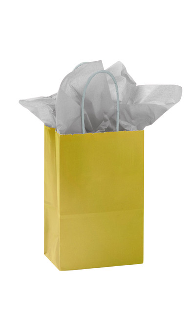 Small Glossy Gold Paper Bags - Case of 25zoom