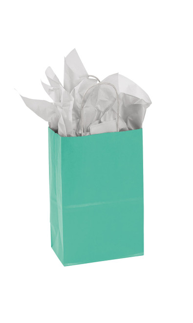 Small Turquoise Paper Bags - Case of 25zoom