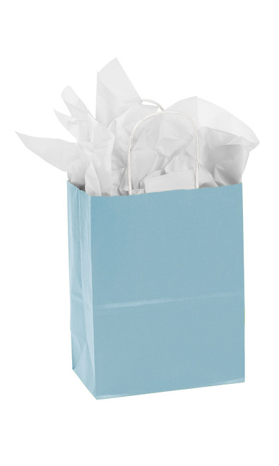 Medium Powder Blue Paper Bags - Case of 25zoom