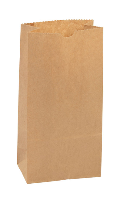 Small Kraft Paper Sacks - Case of 1,000zoom