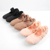 Women Girls Ballet Shoes Ballet Flats Stretch Canvas Split Soft Sole Elastic Fabric Professional Ballet Shoes Dance Slippers