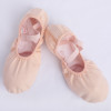 Professional Ballet Dance Shoes for Women Girls Wear Resistant Leather Soles Canvas Pink New Upgrade Ballet Slippers