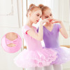 Girls Ballet Dance Dress Dance Leotard Costumes Tutu Skirts Gymnastics Swimsuit Kids Tulle Skirted Leotards
