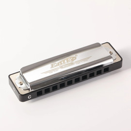T004 10 hole blues diatonic harmonica for beginner player gift