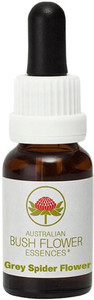 Australian Bush Flower Essences Grey Spider Flower 15ml Australian Bush Flower Essences Grey Spider Flower 15ml