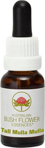 Australian Bush Flower Essences Tall Yellow Top 15ml Australian Bush Flower Essences Tall Yellow Top 15ml
