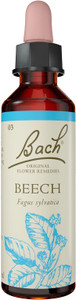 Bach Original Flower Remedies Beech 20ml Bach Original Flower Remedies Beech 20ml