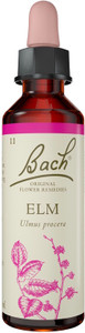 Bach Original Flower Remedies Elm 20ml Bach Original Flower Remedies Elm 20ml