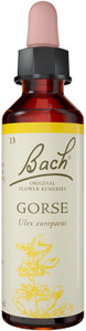 Bach Original Flower Remedies Gorse 20ml Bach Original Flower Remedies Gorse 20ml