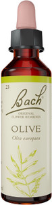 Bach Original Flower Remedies Olive 20ml Bach Original Flower Remedies Olive 20ml