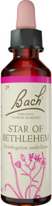 Bach Original Flower Remedies Star Of Bethlehem 20ml Bach Original Flower Remedies Star Of Bethlehem 20ml