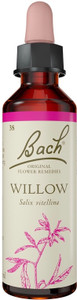 Bach Original Flower Remedies Willow 20ml Bach Original Flower Remedies Willow 20ml