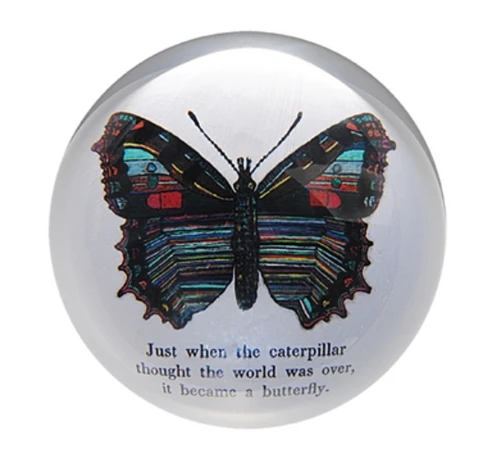 Paperweight- BUTTERFLY