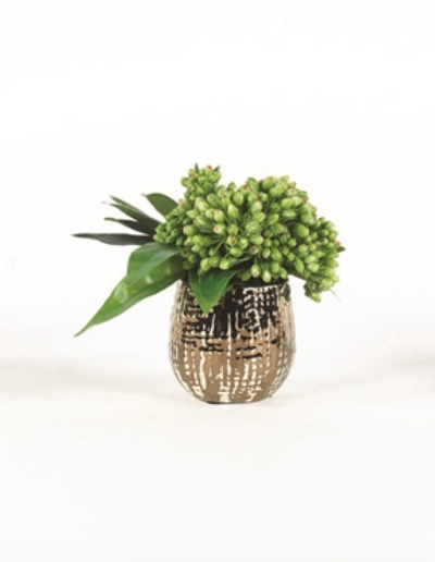 Artificial Sedum Plant in Bronze Pot