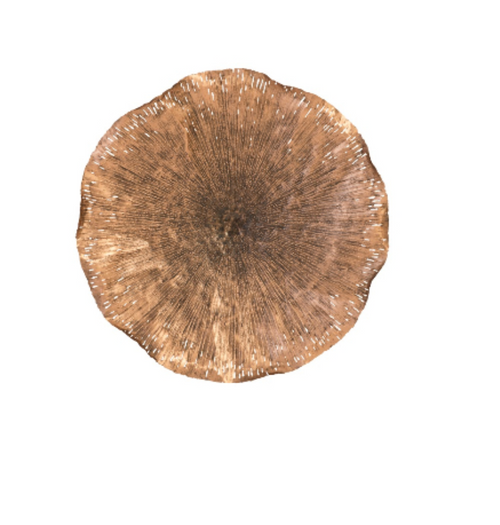 Copper Lotus Wall Art- SMALL