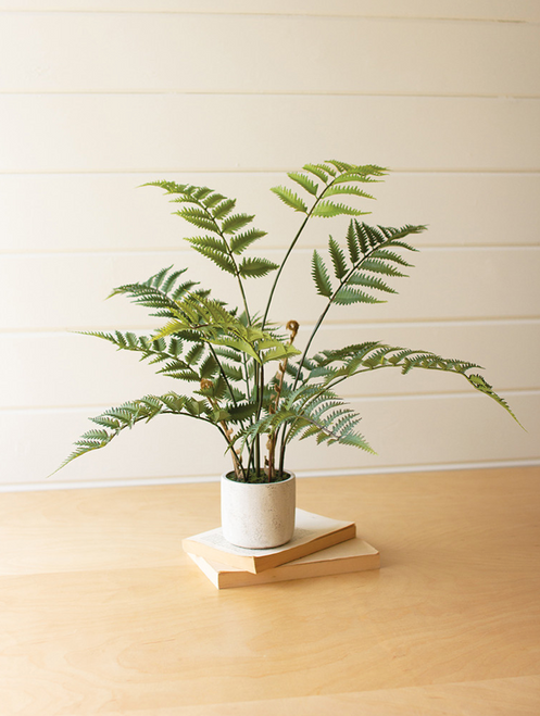 Faux Fern Plant