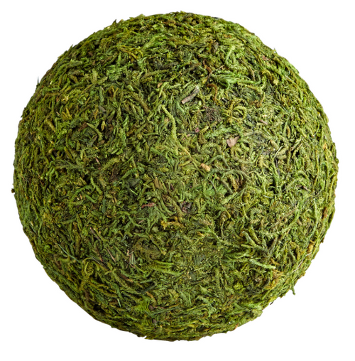 Small Moss Sphere