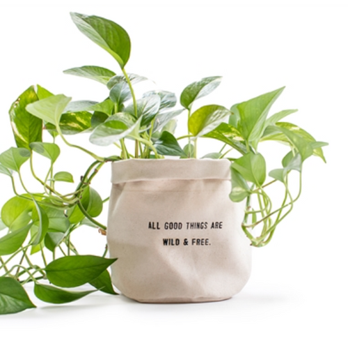 Large Canvas Planter- ALL GOOD THINGS