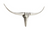 Nickel Longhorn Wall Art