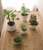 Faux Succulent- SMALL