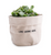 Small Canvas Planter- LOVE GROWS HERE