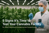 5 Signs It’s Time to Test Your Cannabis Facility for Mold and Bacteria