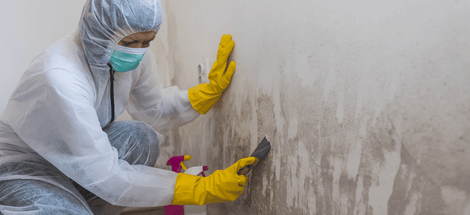 The Importance of Swab Testing for Mold: Ensuring a Safe and Healthy Environment