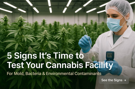 5 Signs It’s Time to Test Your Cannabis Facility for Mold and Bacteria 5 Signs It’s Time to Test Your Cannabis Facility for Mold and Bacteria