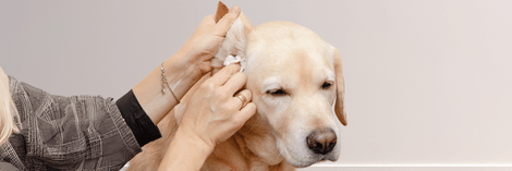 7 Safe and Effective Alternatives to Q-Tips for Ear Cleaning
