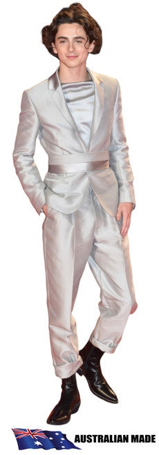 Life-Size Cardboard Cut-Out – Timothee Chalamet silver suit