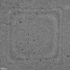 Carbon Quantum Dots (CQDs), 590-620 nm, Solvent: DI water, Concentration: 0.01 mg/ml