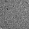 Carbon Quantum Dots (CQDs), 590-620 nm, Solvent: DI water, Concentration: 0.01 mg/ml
