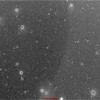 Green Graphene Quantum Dot (1mg/ml) (GQD)