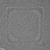 Green Graphene Quantum Dots (GQDs), Solvent: DI Water, Concentration: 1.0 mg/ml