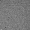Green Graphene Quantum Dots (GQDs), Solvent: DI Water, Concentration: 1.0 mg/ml