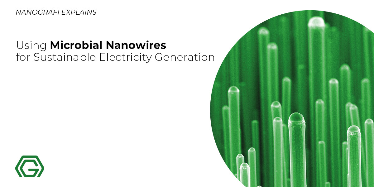 Using Microbial Nanowires for Sustainable Electricity Generation