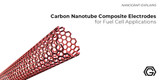 Carbon Nanotube Composite Electrodes for Fuel Cell Applications