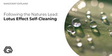 Following the Natures Lead: Lotus Effect Self-Cleaning