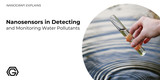 Nanosensors in Detecting and Monitoring Water Pollutants