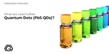 What are Lead Sulfide Quantum Dots (PbS QDs)?