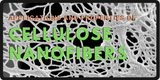 Explained: Cellulose Nanofibers