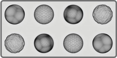 Zinc Oxide Micron Powders