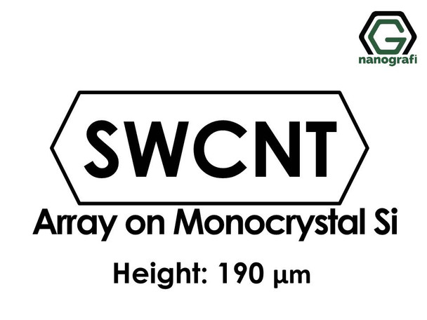 Single Walled Carbon Nanotubes Array on Monocrystal Silicon, Height: 190 µm- NG01SC0102